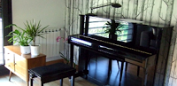 Melbourne Cheap Piano Movers 869953 Image 1