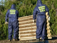 South Adelaide Asbestos Removal 870461 Image 3
