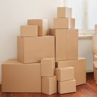 Bondi Removals and Taxi Trucks Sydney   Furniture Removals, Removalist, Storage and Boxes Sydney 868417 Image 6