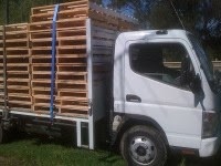 Standard Pallets 869199 Image 0