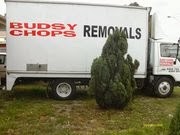 budsy chops removals 869640 Image 1